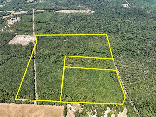 79 Acres, T-15 Saron : Nancy : Angelina County : Texas