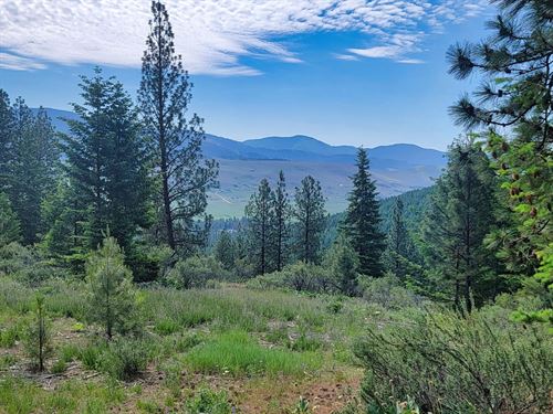 Lynch Creek Tract : Plains : Sanders County : Montana