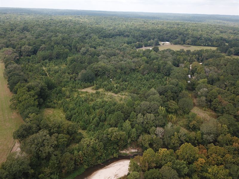 Ms, Adams 36 Acres : Natchez : Adams County : Mississippi