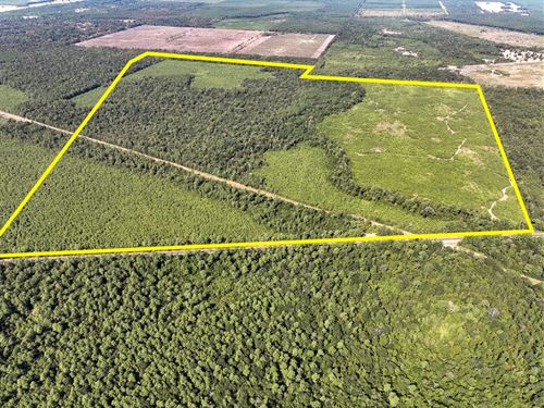 640 Acres, FM 1008 T-1 : Dayton : Liberty County : Texas