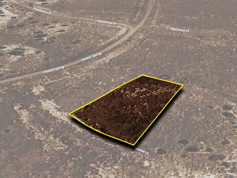 Vacant Gem for You, $420.05/Mo : Colorado City : Pueblo County : Colorado