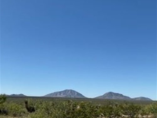 Perfect Homestead, 20 Ac $0 Dn : Sierra Blanca : Hudspeth County : Texas