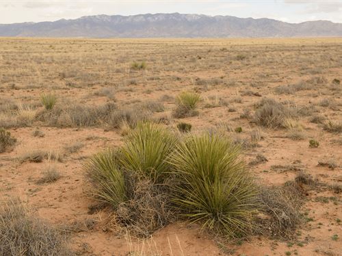 2.5 Acres to Escape The City : Los Lunas : Valencia County : New Mexico