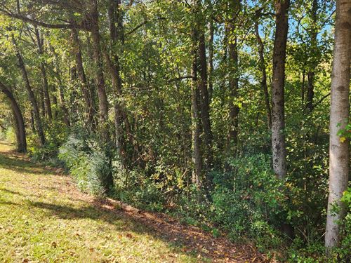 Bullsboro Road Tract : Newnan : Coweta County : Georgia