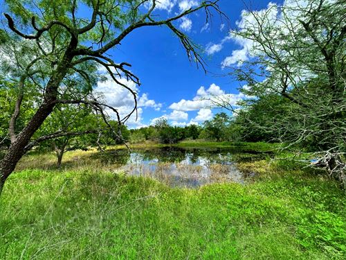 42Ac Ranch, Creek, Pond & No HOAs : Mart : Limestone County : Texas