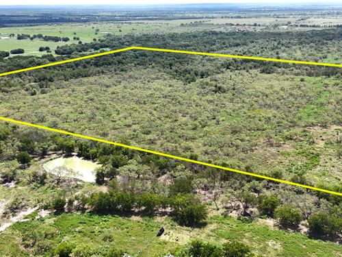 42Ac Ranch, Creek, Pond & No HOAs : Mart : Limestone County : Texas