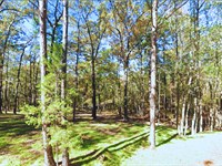 Your Lakeside Escape, Only $95/Mo : Avinger : Marion County : Texas