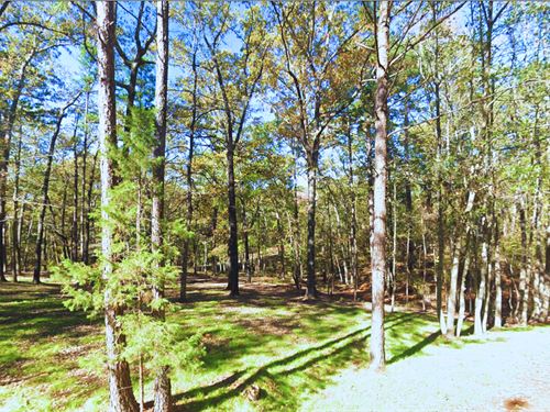 Your Lakeside Escape, Only $95/Mo : Avinger : Marion County : Texas