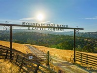 Mountain Pass Ranch : Valley Springs : Calaveras County : California