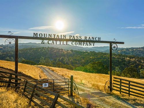 Mountain Pass Ranch : Valley Springs : Calaveras County : California