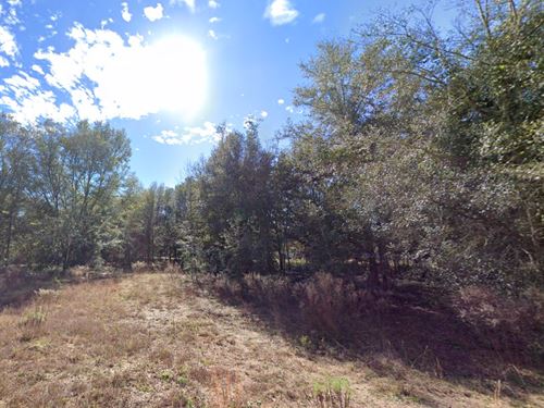 Lake Living with Power : Interlachen : Putnam County : Florida
