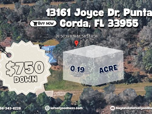 Land with Access on Electricity : Punta Gorda : Charlotte County : Florida