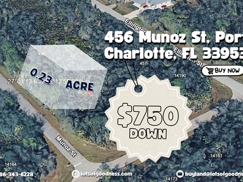 Your Lot on 456 Munoz Street : Port Charlotte : Charlotte County : Florida