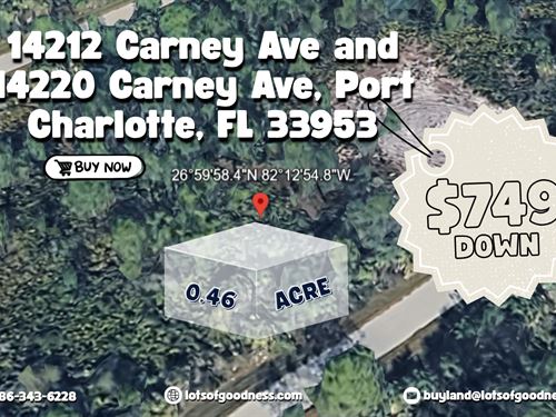 14212 & 14220 Carney Ave Lot : Port Charlotte : Charlotte County : Florida