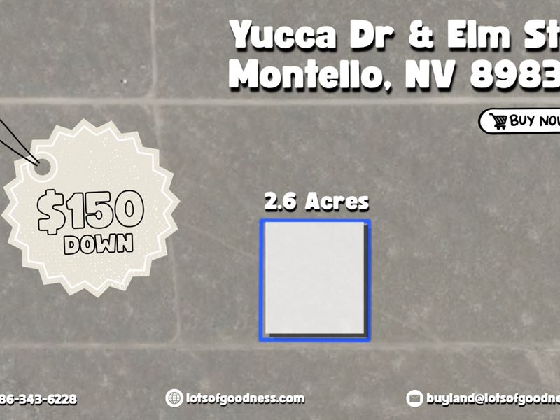 2+ Acre on Yucca Dr in Elko County : Montello : Elko County : Nevada
