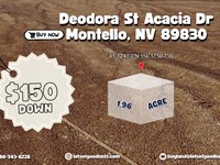 Desert Paradise On Deodora St : Montello : Elko County : Nevada