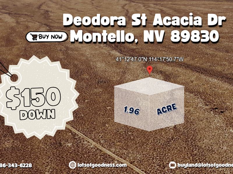 Desert Paradise On Deodora St : Montello : Elko County : Nevada