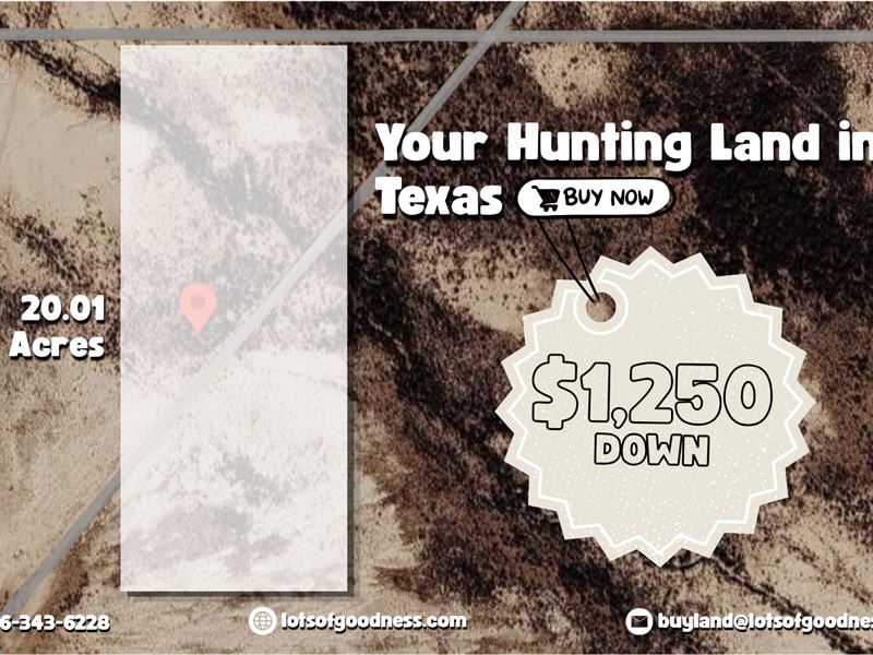 Hunting Land in Texas, Over 20 ac : Sierra Blanca : Hudspeth County : Texas