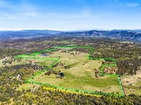 Oak Ridge Stock Farm : Julian : San Diego County : California