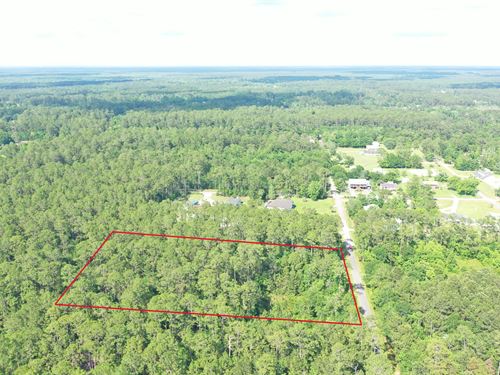 Fenced Private Farm with Utilities : Pearlington : Hancock County : Mississippi