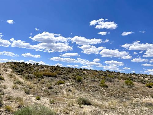 Your 2+ Acre Camping Getaway, Elko : Elko : Nevada
