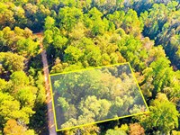 .29 Acre TX Double Lot Near Lakes : Livingston : Polk County : Texas