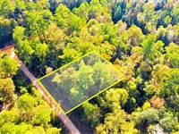 .29 Acre TX Double Lot Near Lakes : Livingston : Polk County : Texas
