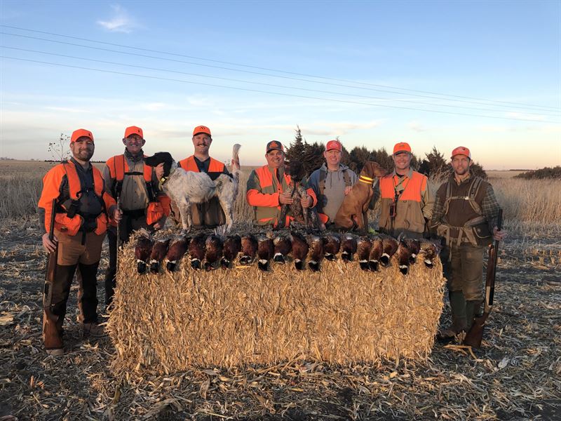 Hayes County Upland and Crp : Palisade : Hayes County : Nebraska