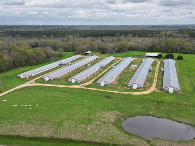Income Producing Poultry Farm and 7 : Tylertown : Walthall County : Mississippi