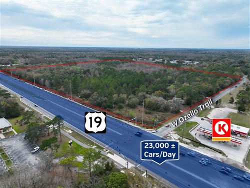 Ozello Trail Commercial : Homosassa : Citrus County : Florida