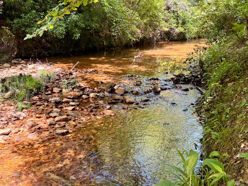 Chatman Ridge Timber & Hunting : Ararat : Choctaw County : Alabama