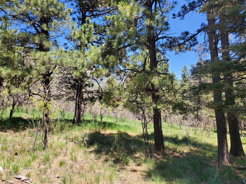 Spanish Peaks Drive 46-47, Aguila : Aguilar : Las Animas County : Colorado