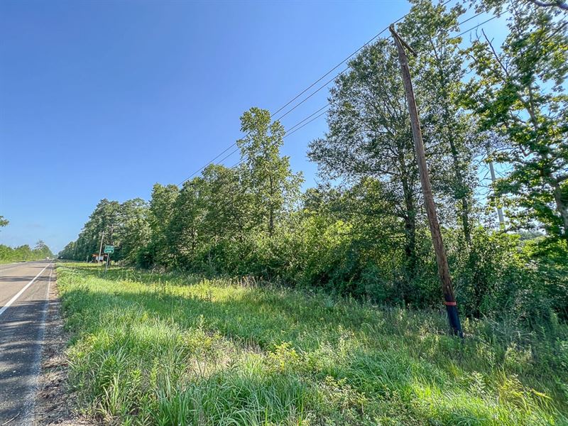 1,334 Acres FM 1008 : Dayton : Liberty County : Texas