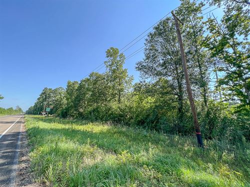 1,334 Acres FM 1008 : Dayton : Liberty County : Texas