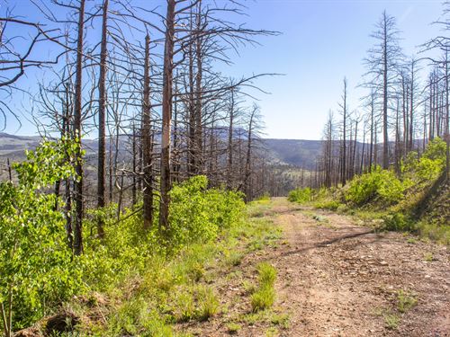 2.22 Acres CO Land, Mountain View : Fort Garland : Costilla County : Colorado
