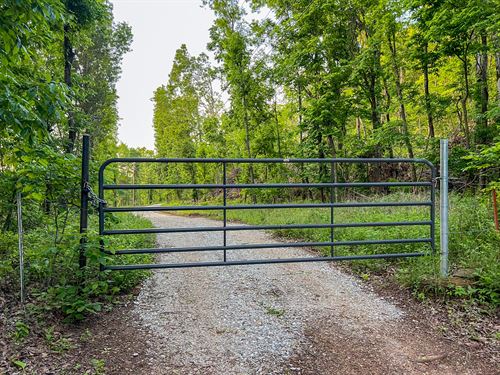 Wilderness Run : Winslow : Washington County : Arkansas