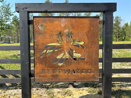 Bluewater Country Lot 1 : Dexter : Laurens County : Georgia