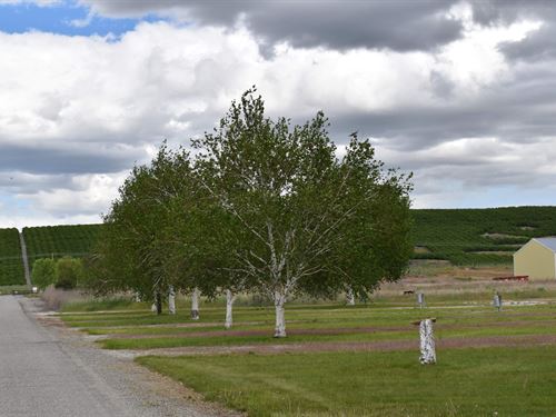 Brewster Ridge Ranch : Brewster : Okanogan County : Washington