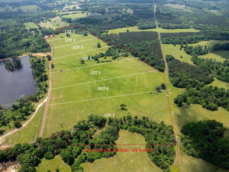 Oak Ridge Estates Lots 6 & 7 : Harleton : Harrison County : Texas