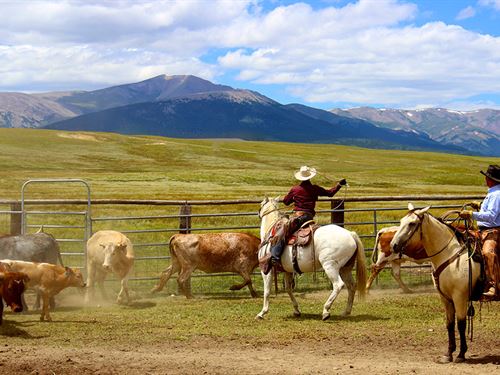 Reinecker Ridge Ranch : Fairplay : Park County : Colorado