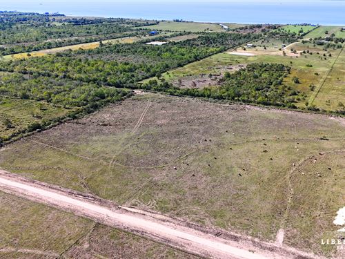 Anahuac Tract 5, Only $15K Down : Anahuac : Chambers County : Texas