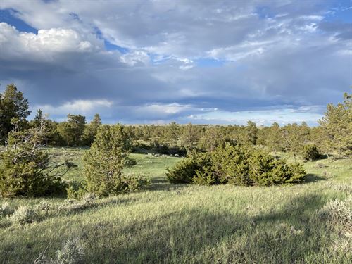 The Breaks Hunting Retreat : Lewistown : Fergus County : Montana