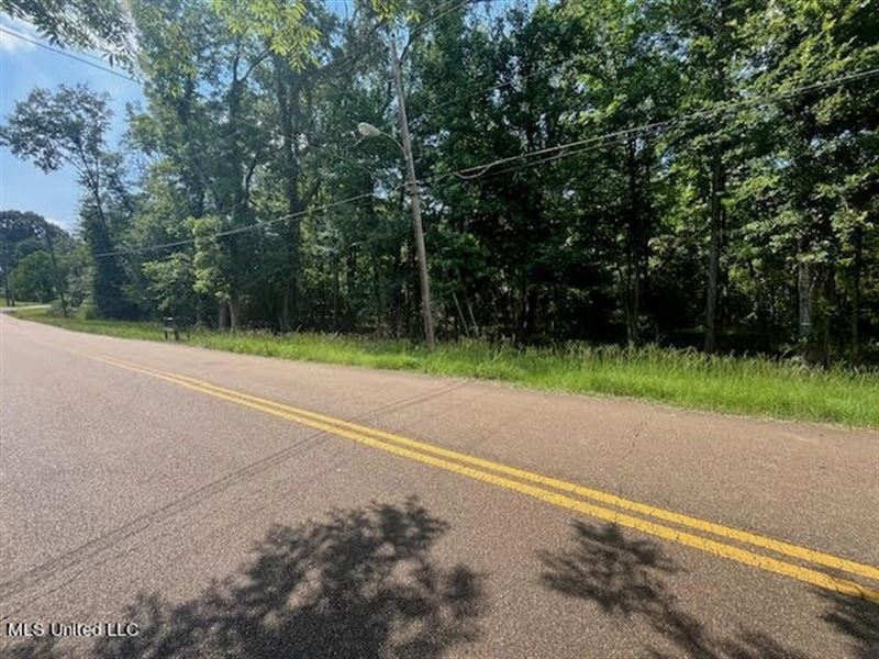 Historic Downtown Brandon Lot : Brandon : Rankin County : Mississippi