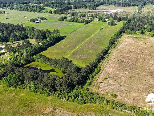 Dayton Tract 13, Only $15K Down : Dayton : Liberty County : Texas