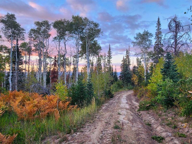 Oak Creek Cabin : Oak Creek : Routt County : Colorado