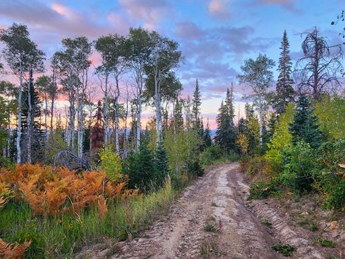 Oak Creek Cabin : Oak Creek : Routt County : Colorado