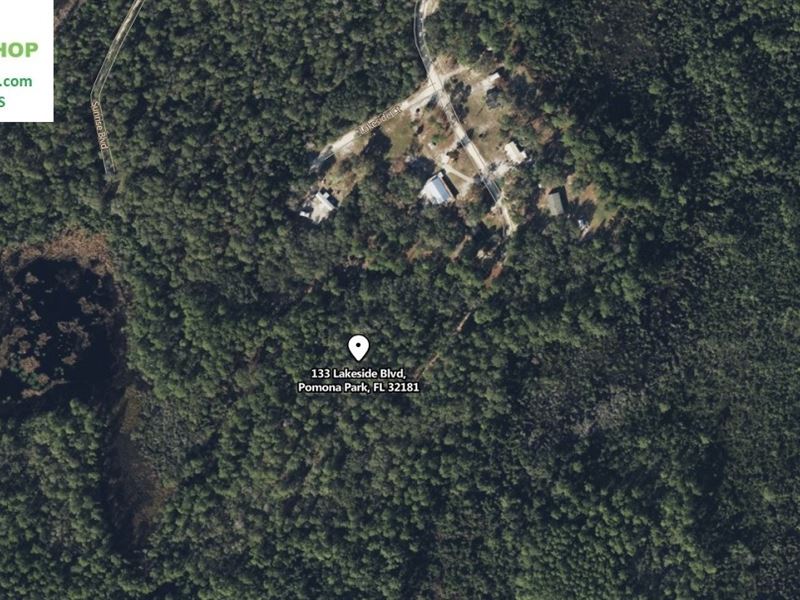 Huge Wooded Lot Near Margaret Lake : Pomo : Putnam County : Florida
