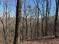 An Estate Lot With Mountain View : Heflin : Cleburne County : Alabama