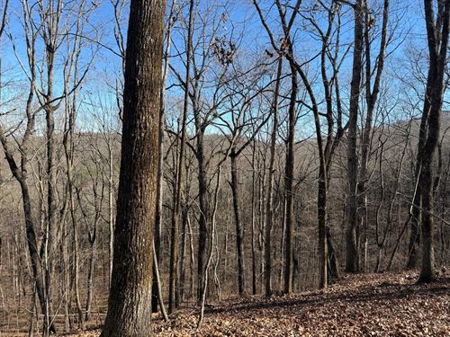 An Estate Lot With Mountain View : Heflin : Cleburne County : Alabama