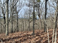 A Turkey Haven Mountain Paradise : Heflin : Cleburne County : Alabama